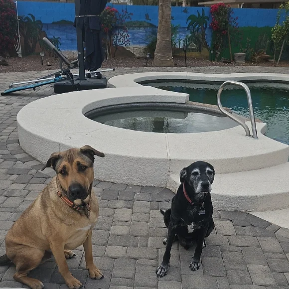 LUXURY AND DESIGNER SHARE SHOW - Picture 6 of 6